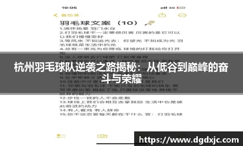 杭州羽毛球队逆袭之路揭秘：从低谷到巅峰的奋斗与荣耀